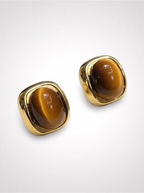 Tiger Eye Geometric Earrings (7570)